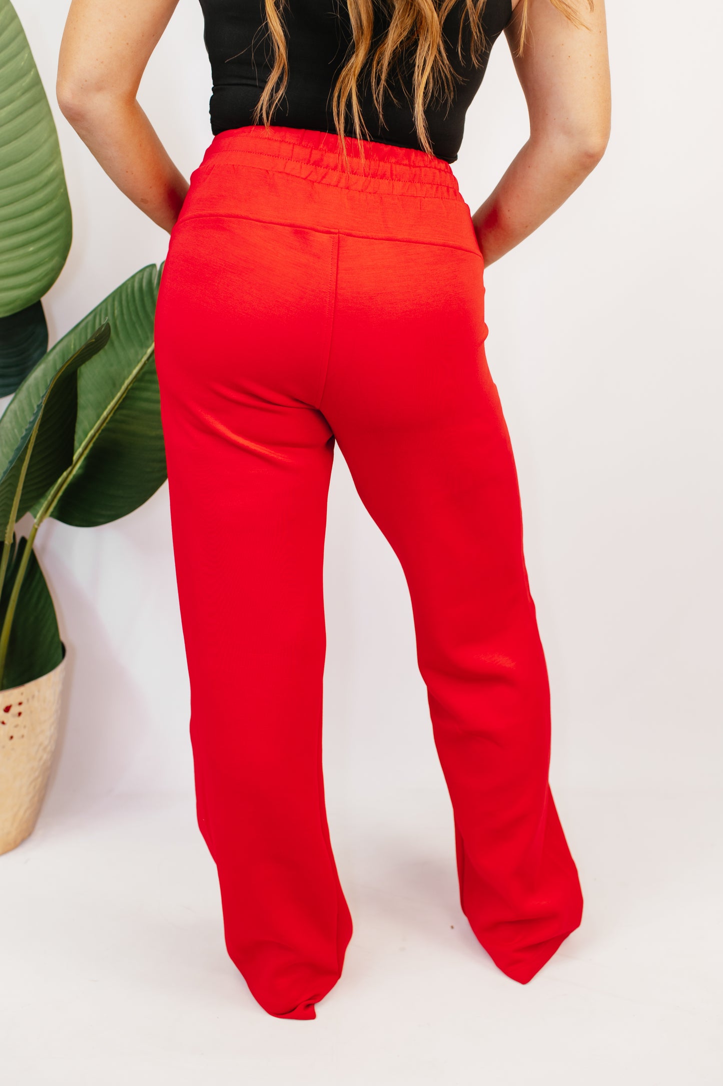Street Luxe Sweatpants - Reg & Curvy
