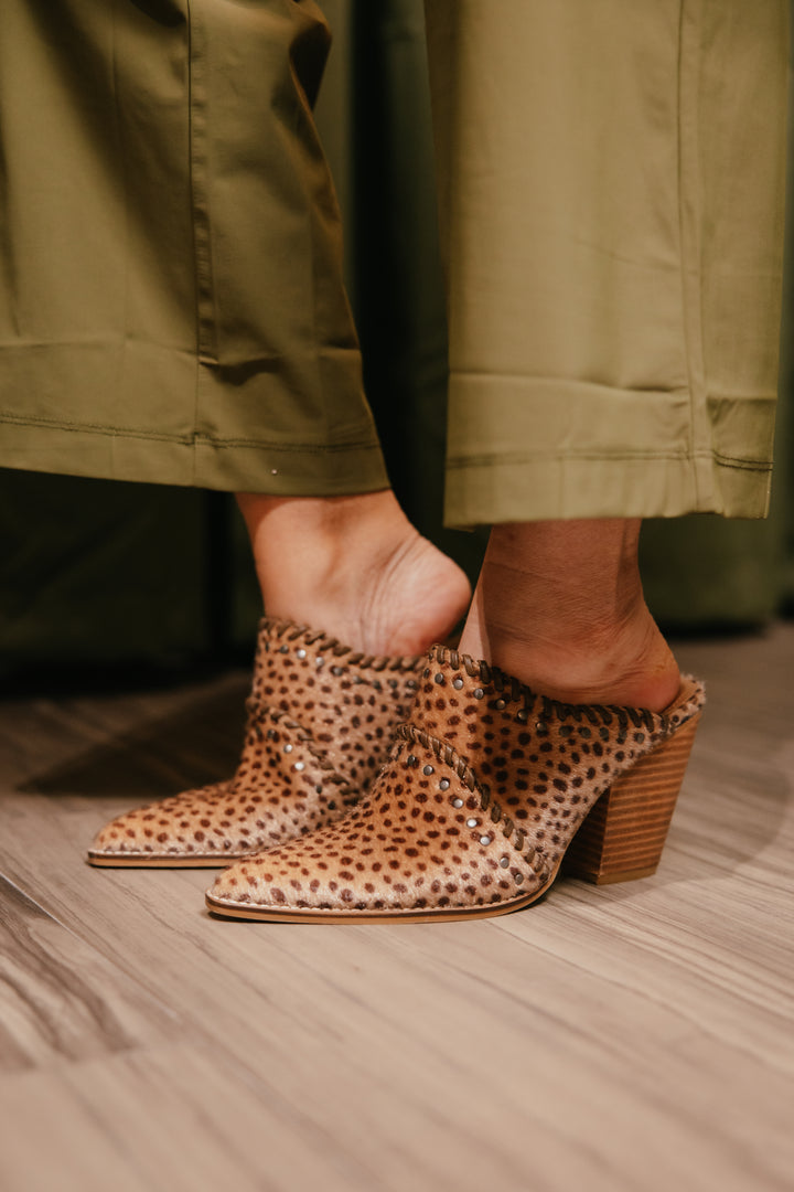 Corky's Tan Mini Cow Blame The Bar Heels