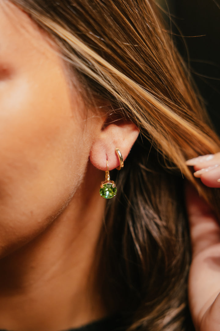 Kinda Obsessed Earrings in Green Apple
