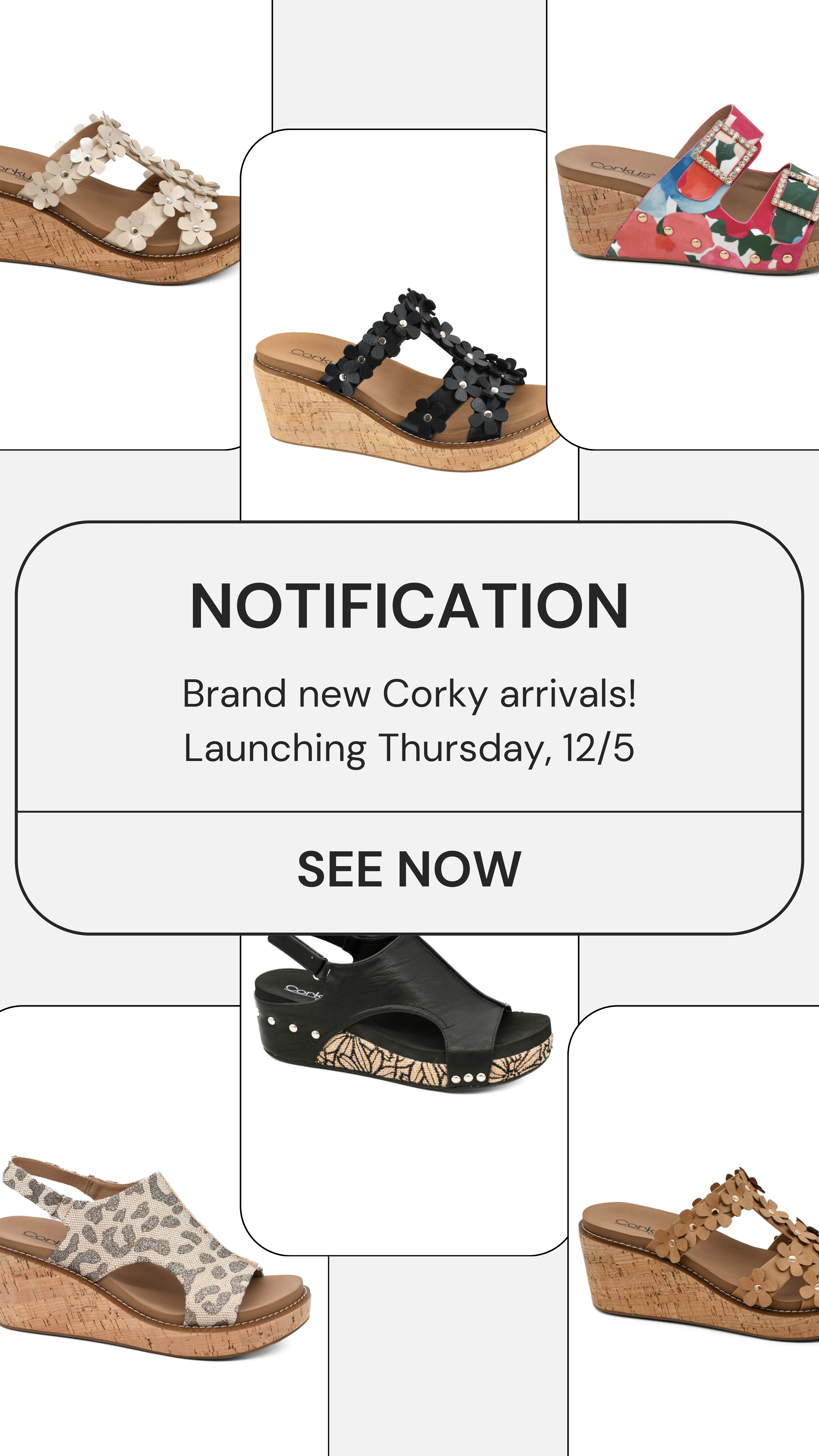 All New Corkys Launch