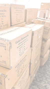 NEW ARRIVALS - Macoma Boutique