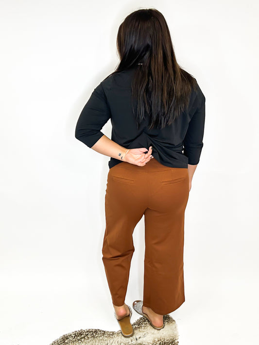 Crop Chic Pants in Rust - Reg/Curvy