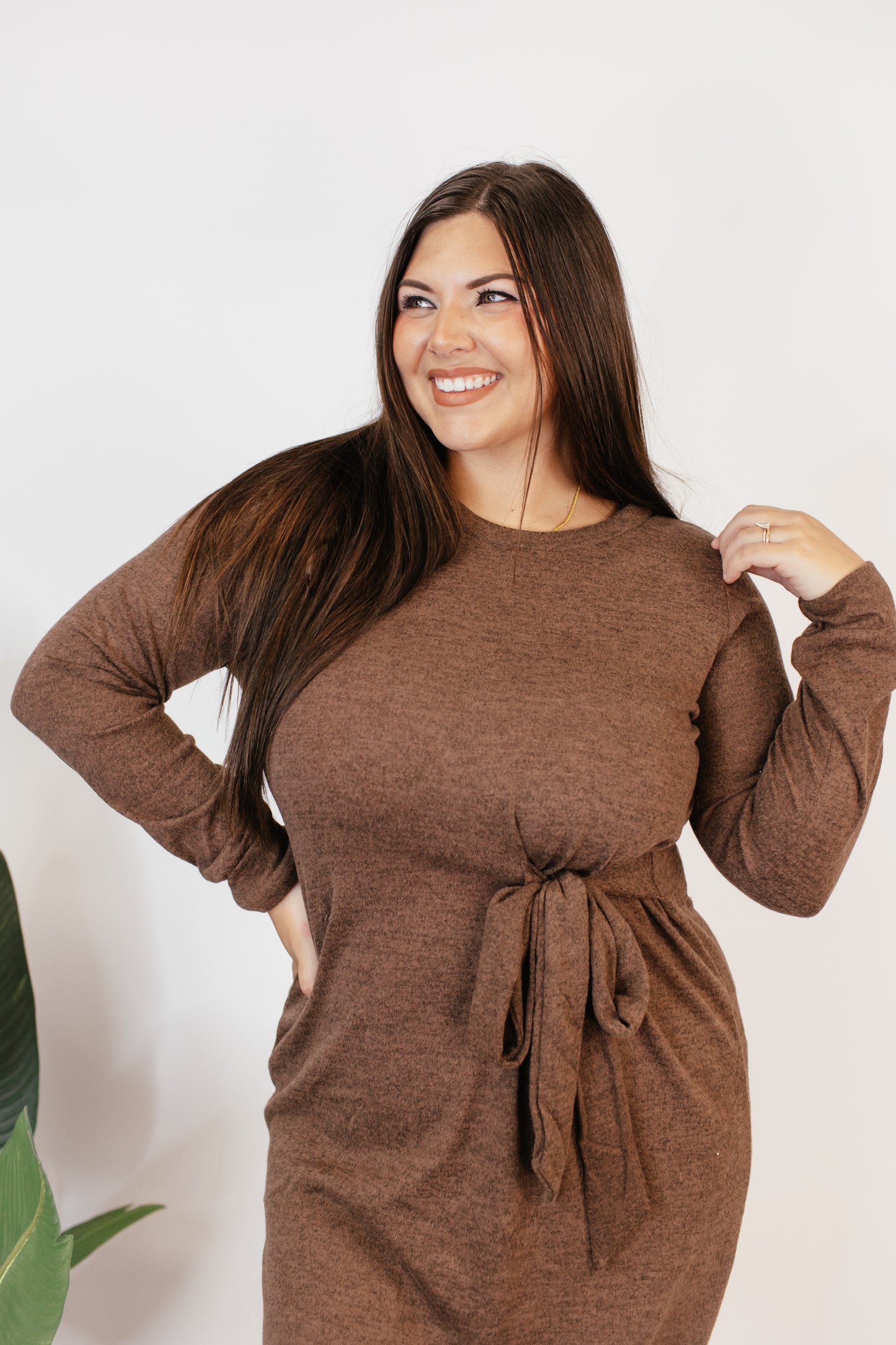 Cozy Elegance Dress In Chocolate - Reg & Curvy