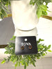Tova Chrisley Studs! - FINAL SALE