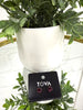 Tova Chrisley Studs! - FINAL SALE