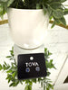Tova Chrisley Studs! - FINAL SALE