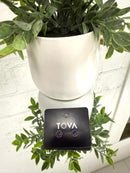 Tova Chrisley Studs!