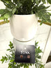 Tova Chrisley Studs! - FINAL SALE