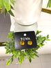 Tova The Basics Studs - FINAL SALE
