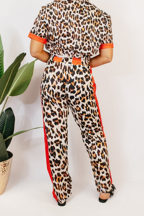 Street Cat Set - Macoma Boutique290 Loungewear/Sets