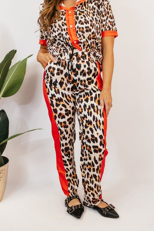 Street Cat Set - Macoma Boutique290 Loungewear/Sets