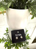 Tova Chrisley Studs! - Macoma Boutique310 Accessories/Jewelry
