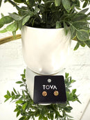 Tova Chrisley Studs! - Macoma Boutique310 Accessories/Jewelry