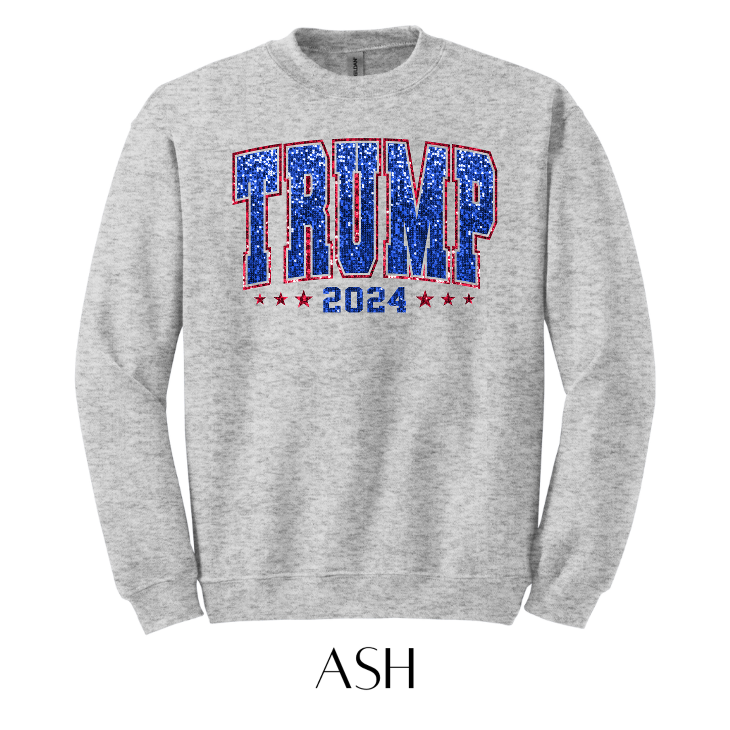 DJT 2024 Graphic Pullover